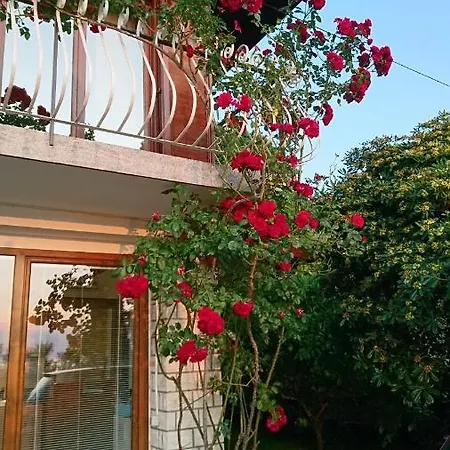 Apartma Niko Piran Exterior photo